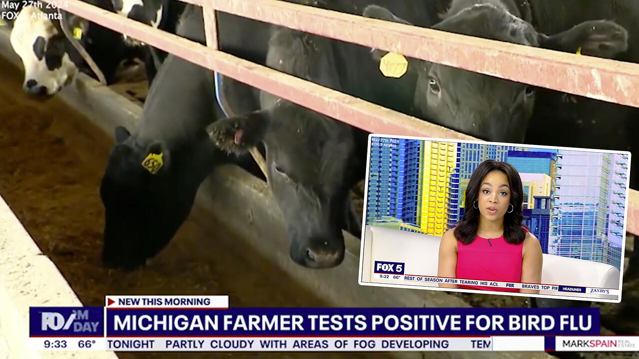 Bird Flu | "A Farm Worker In Michigan Tested Positive for Bird Flu." - Fox5 Atlanta (5/27/2024) + Public Health Officials Discuss Enhanced Surveillance & Farm Quarantining for Bird Flu + Is Mass-Scale Jackassery Beginning?
