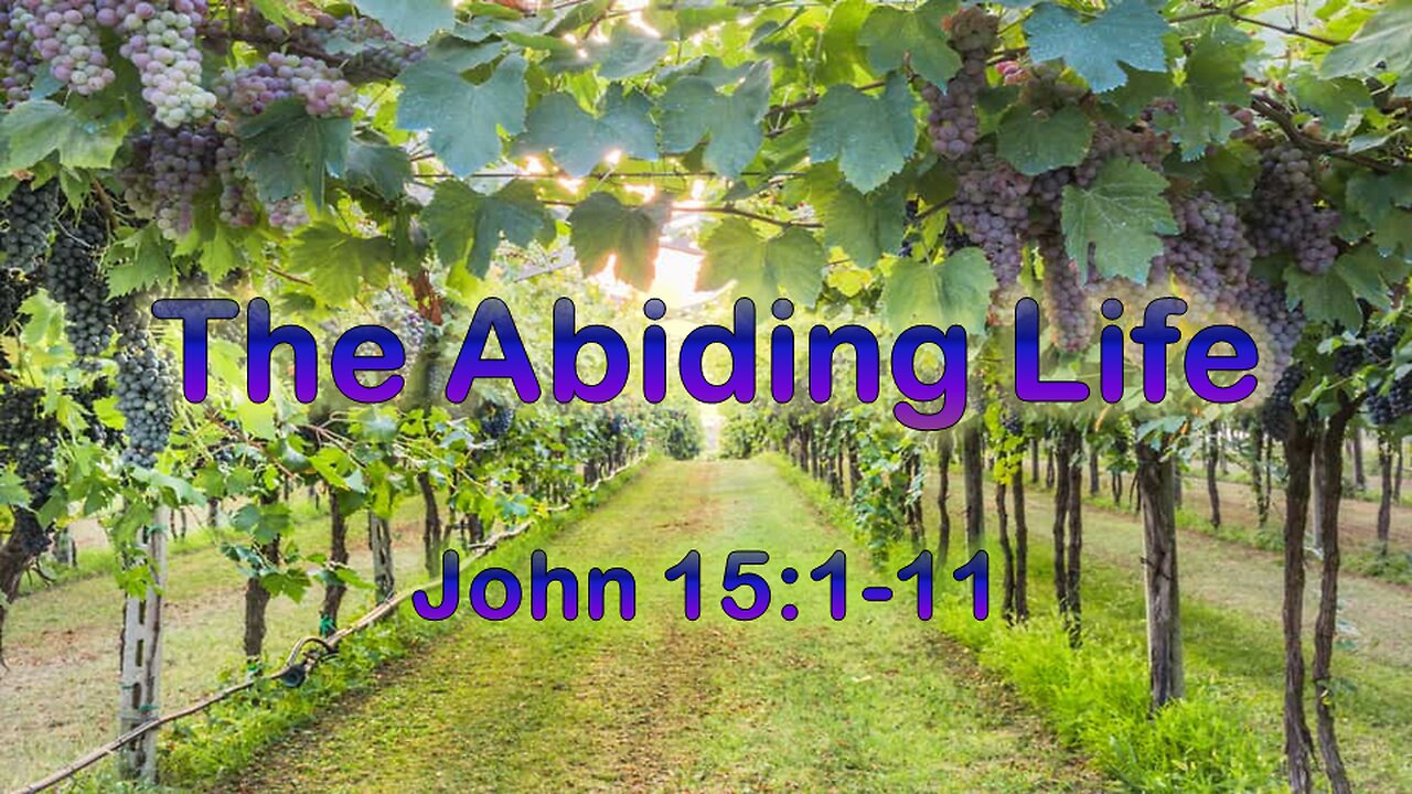 The Abiding Life - John 15