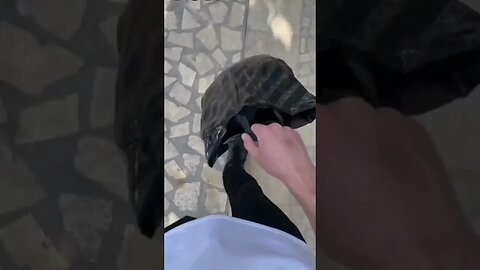 С пакетом нужно стараться, чтобы от каждого удара коленкой переворачивался на 180 градусов туда–сюда