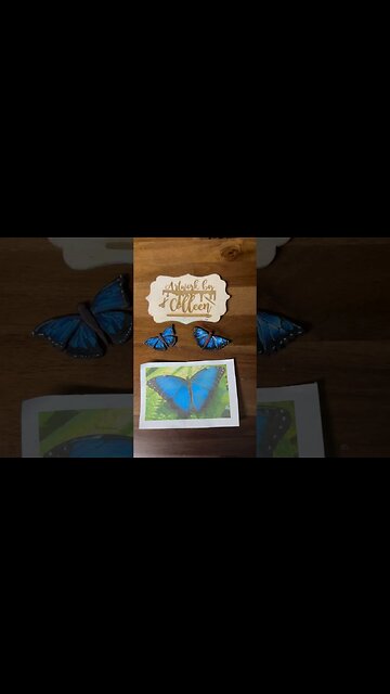 Common morpho butterfly @ArtworkByColleen pick your fave