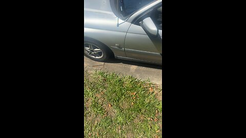 New Holden registered