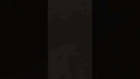 Sick Day Video #2 🤧