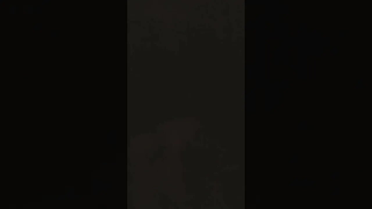 Sick Day Video #2 🤧