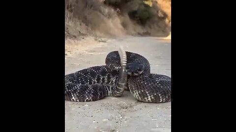 amazing video 😍😍😍 | amazing views video 😳😳 | natural amazing video ❤ #shorts(1)