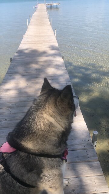 Wednesday Sept 18, Teach me your ways O Lord