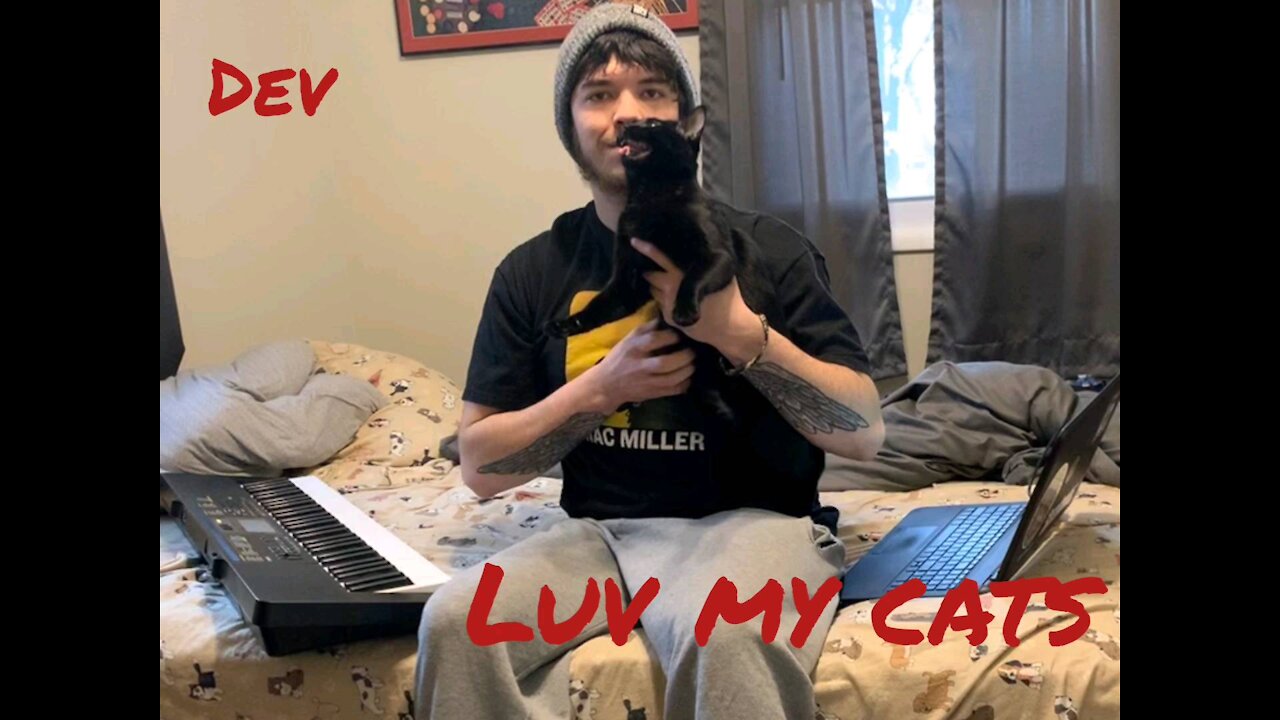 Love my cats - dev (Official audio)