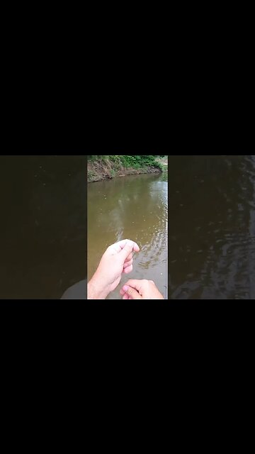 Double up on bass with Cincy Fish Dudes