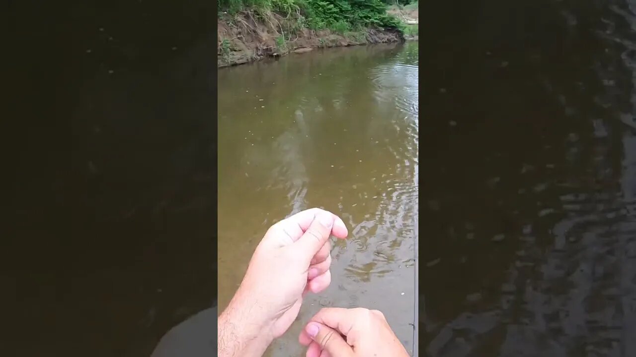 Double up on bass with Cincy Fish Dudes