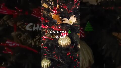 Christmas tree is up!