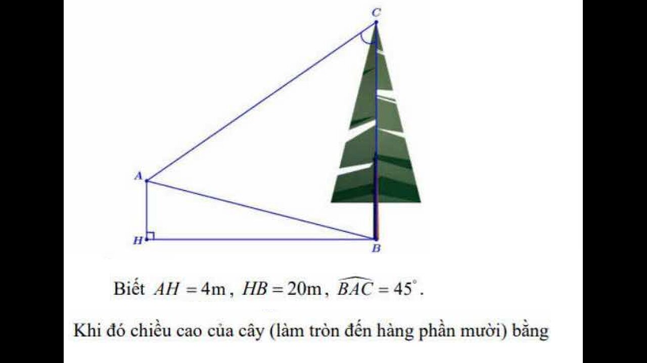 Toán 10: Biết AH=4m, HB=20m , BAC = 45°. Khi đó chiều cao của cây - Lượng giác