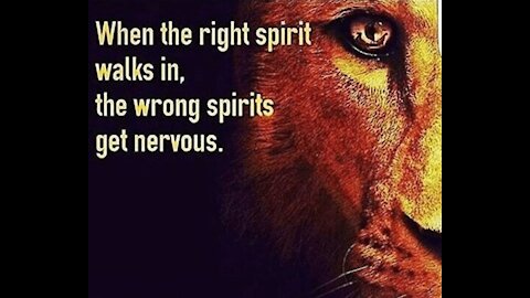 Gods Timing Freedom Hour 8.16.2021