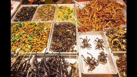 Nicole Kidmans Gourmet Insect 🐞 Tea Party