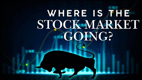 Predicting the Stock Market in this Crazy Time w/ BAM Investor!