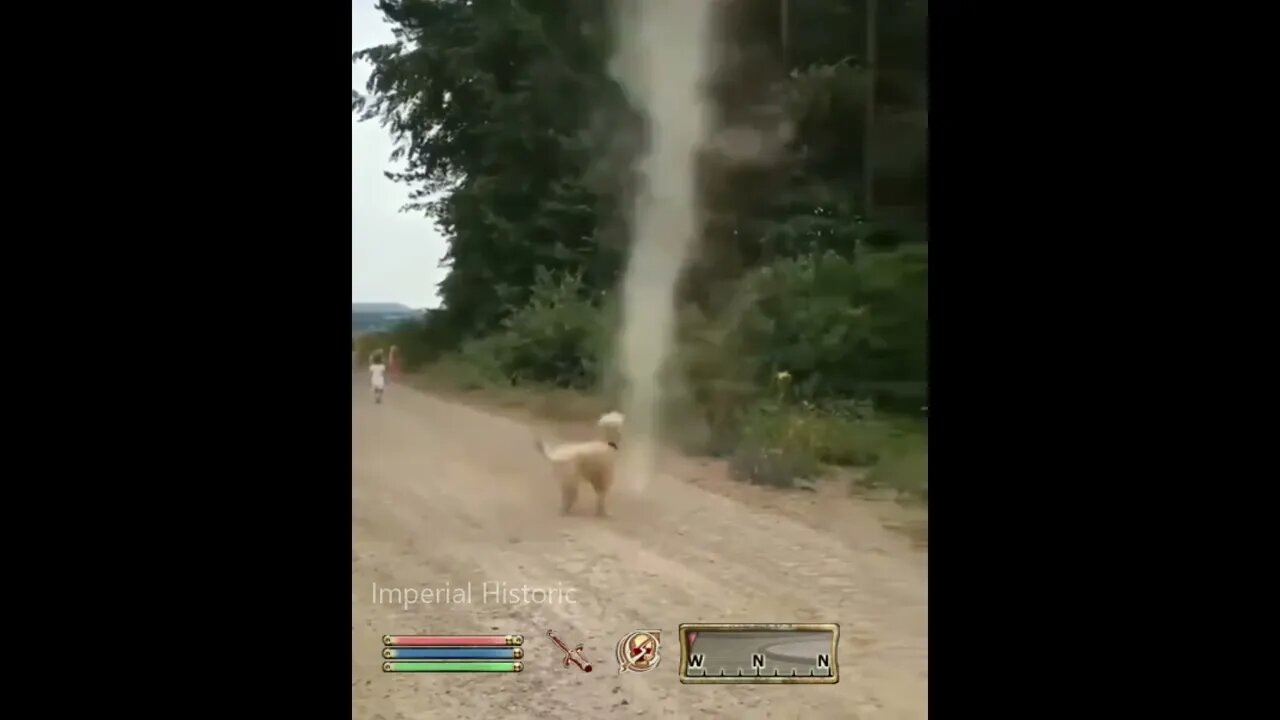 Dogo Companion vs SandStorm Mod - Oblivion NPC