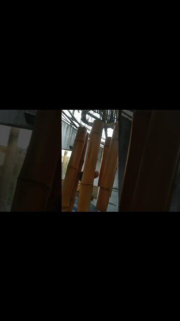 sinos dos ventos, mensageiro dos ventos #shorts