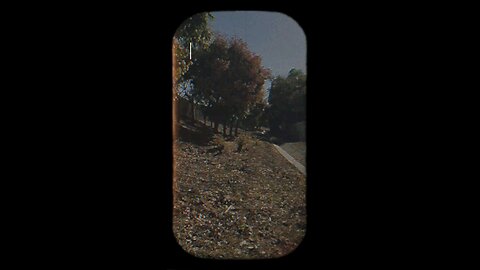 just took a walk