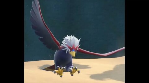 Level 55 Braviary