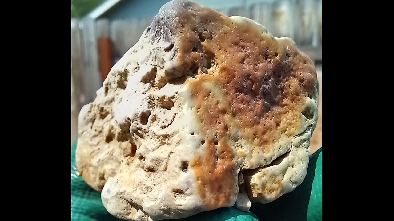 Some purple in there!