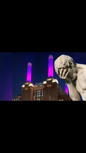 Curb Your Virtue Signal #Shorts