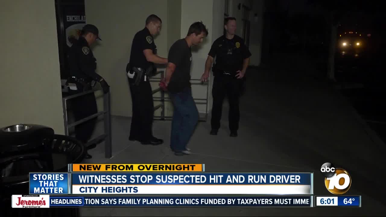 Hit-and-run driver stopped by witnesses