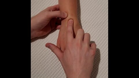 Bony Landmark Palpation - Carpals