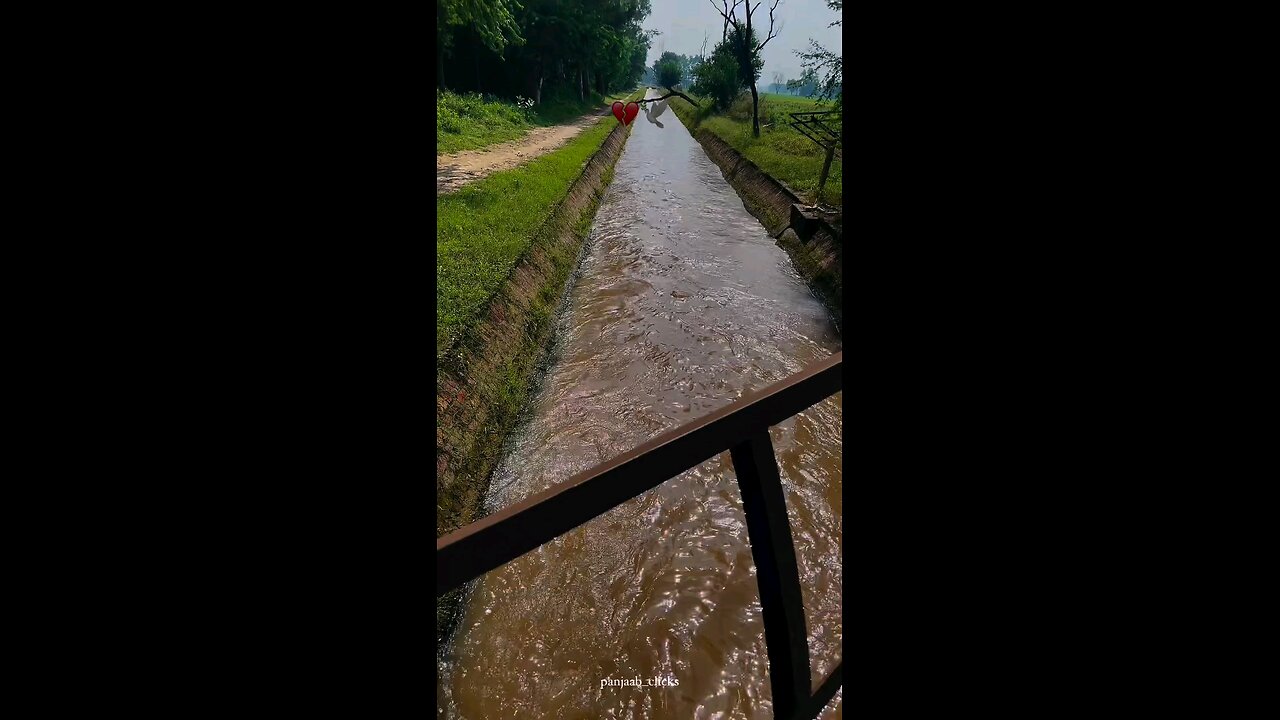 punjabvibe