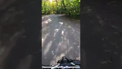 Harley Death Wobble