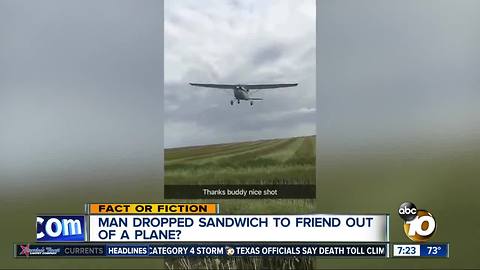 Sandwich delivery via plane?