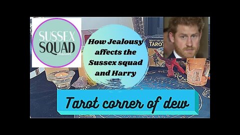 How jealousy affects the sussex squad and Harry??