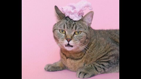 Song: Finky The Anti Gravity Cat On Uranus by Ice Possible