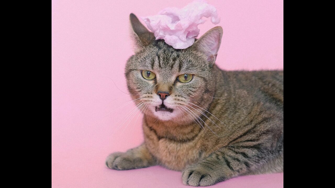 Song: Finky The Anti Gravity Cat On Uranus by Ice Possible