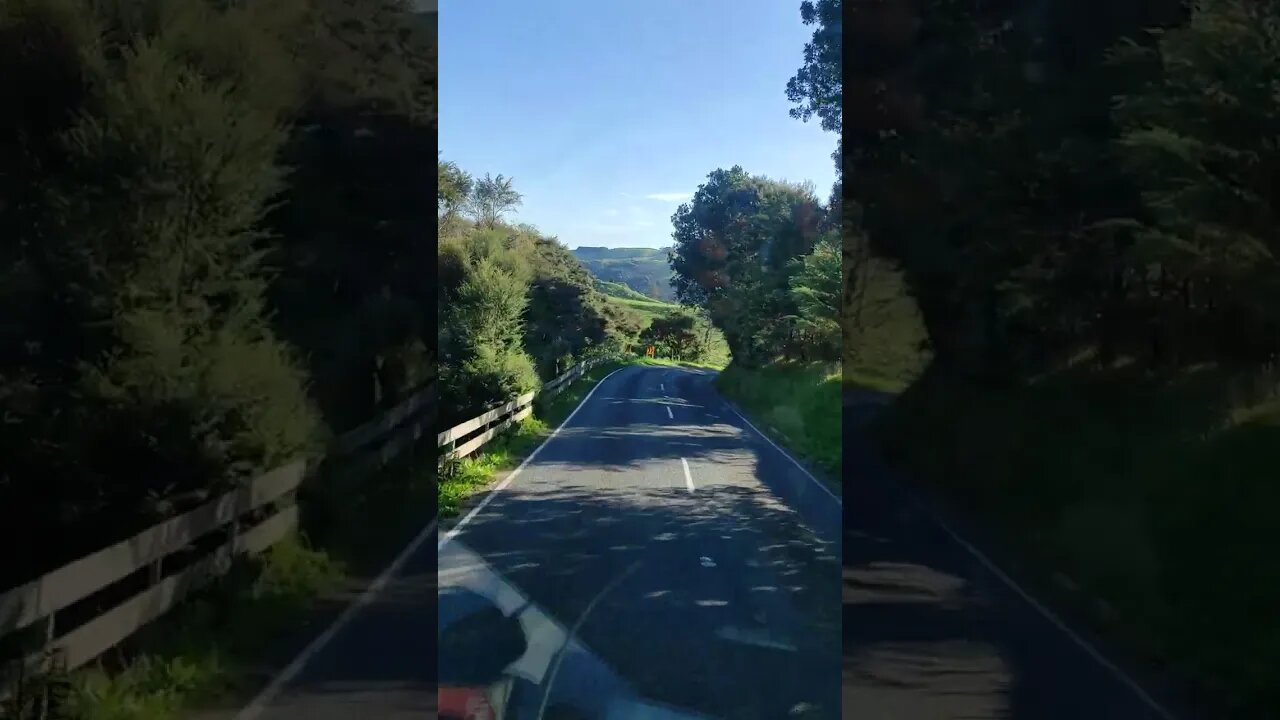 Spring must be here by the flowers on the trees