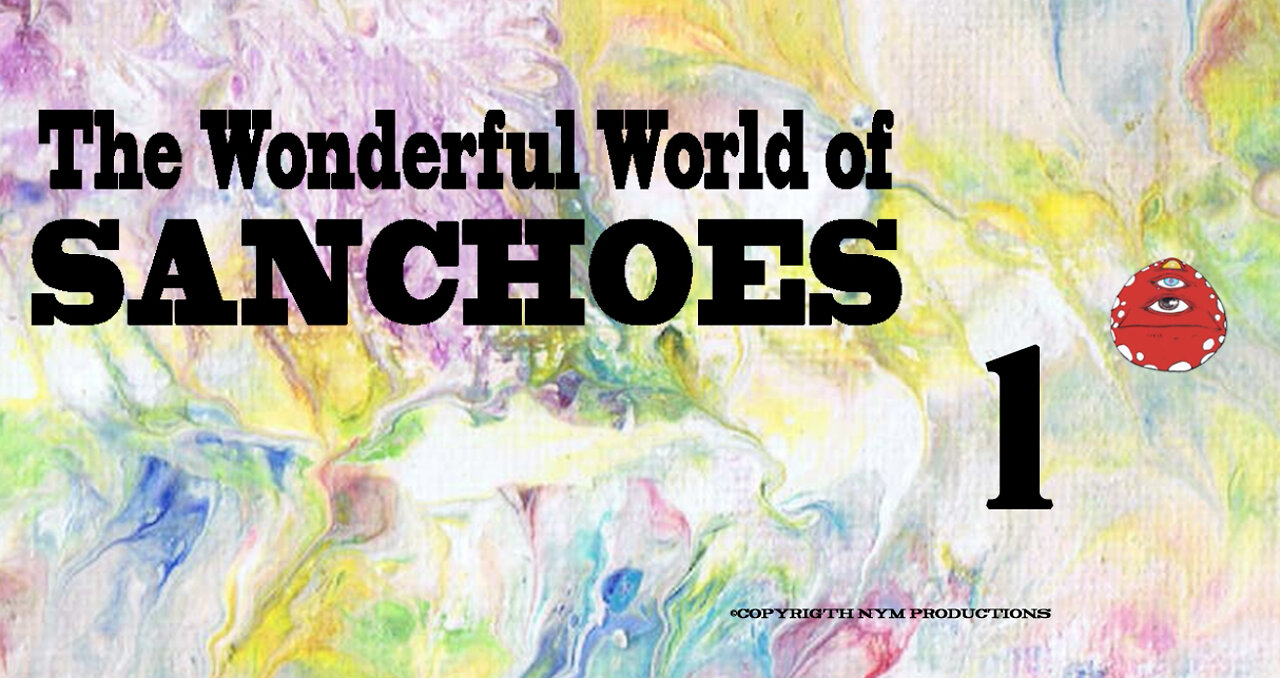 The Wonderful World of Sanchoes 1