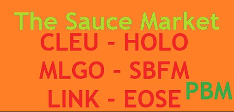 CLEU and MLGO Follow HOLO? PBM Starts Its Rise - The Sauce Market 101