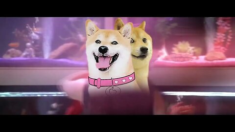 DogeGF Nothing Can Stop Our Love