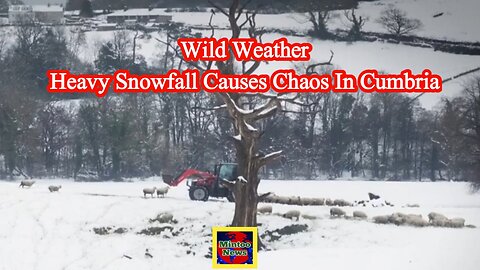 Wild weather: Heavy snowfall causes chaos in Cumbria