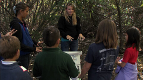 Outdoor Classroom