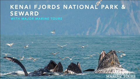 Kenai Fjords National Park #shorts