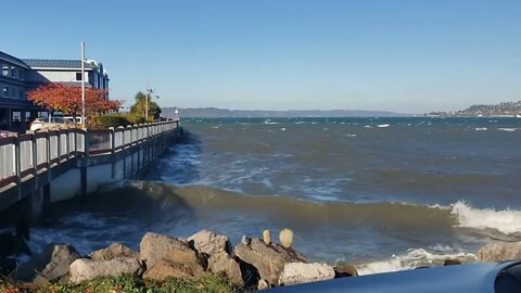 I Haven't Seen Waves Like This on Commencement Bay in Washington State in A Long Time! Surfs Up!