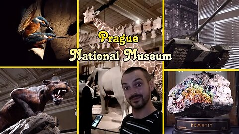 The Best Natural History exhibits I've seen! National Museum Prague