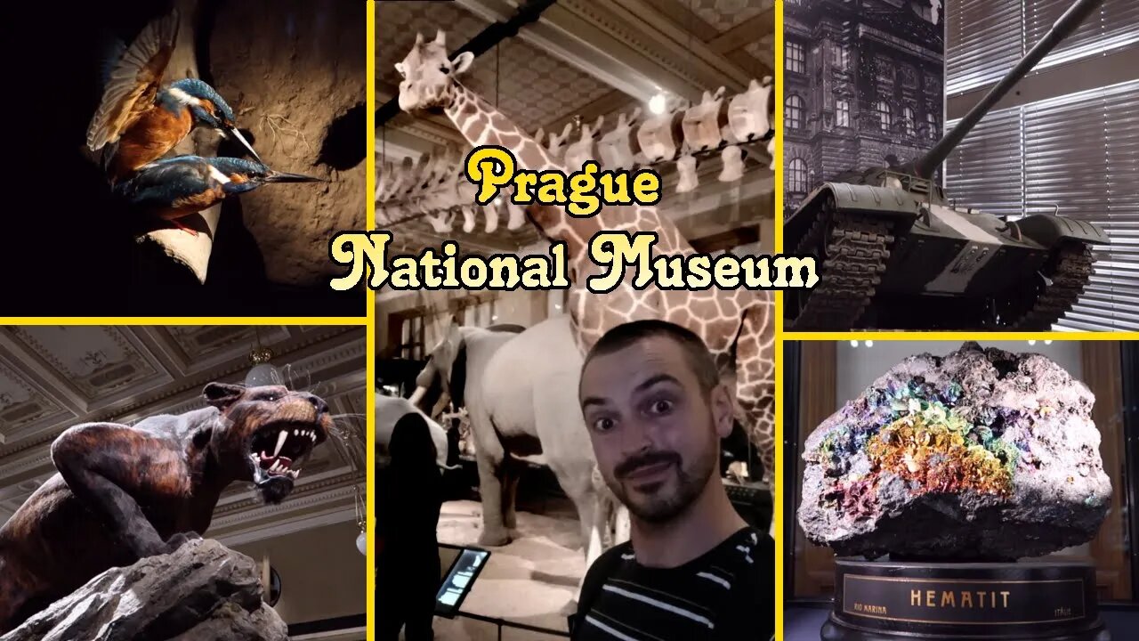 The Best Natural History exhibits I've seen! National Museum Prague