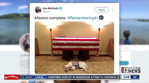 Dog in front of casket