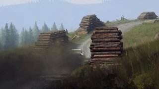 DiRT Rally 2 - Replay - Audi Sport Quattro S1 E2 at Bidno Moorland Reverse