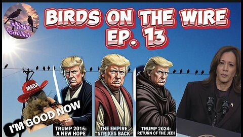 Trump Wins Meltdown Of Elites, Woke Libs, Latinos and Blacks get attacked by the news and more!