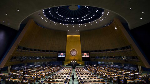 WCH Canada Press Conference | Bill c-293 & UN Summit of the Future