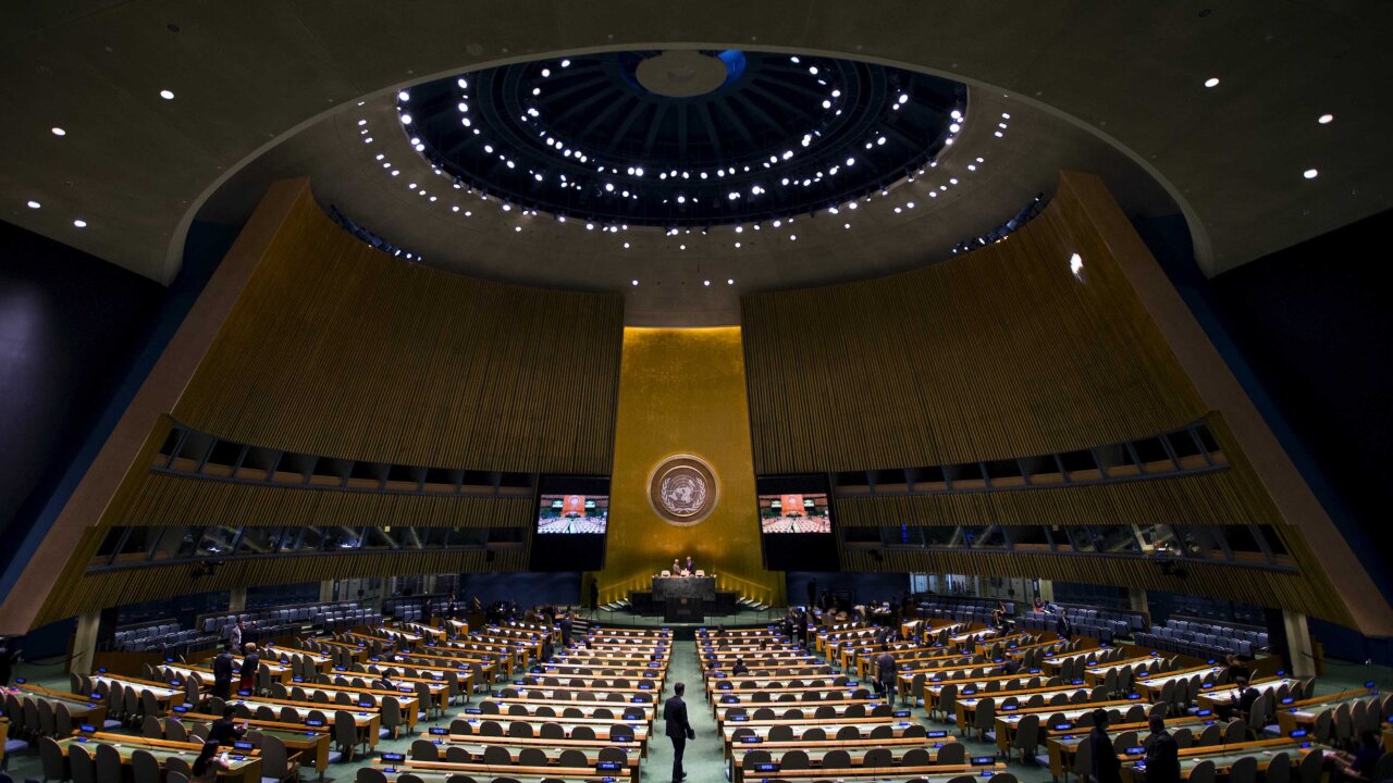 WCH Canada Press Conference | Bill c-293 & UN Summit of the Future