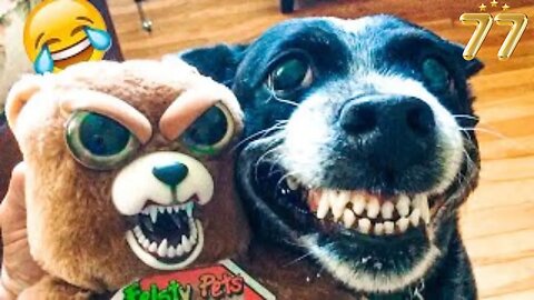 The funniest animals / Fun with cats and dogs 2023 #77