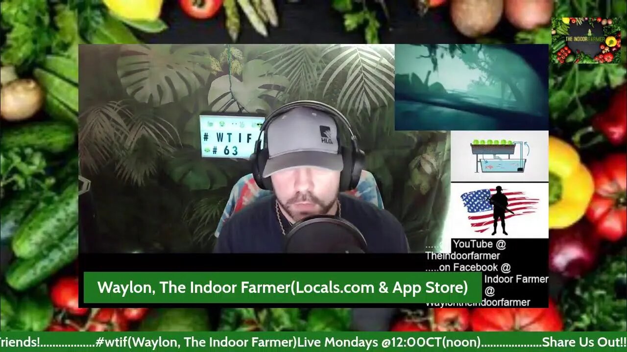 Waylon, The Indoor Farmer EP #63! It's Time For Me To Show Everyone What I Am About #NFSOT