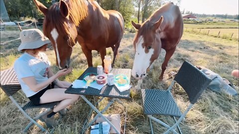 Having a Picnic With My Horses *fail*