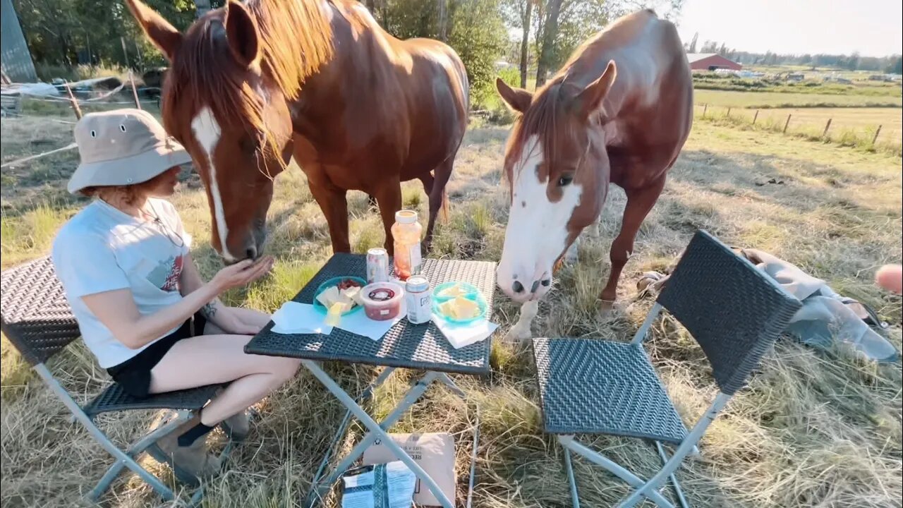 Having a Picnic With My Horses *fail*